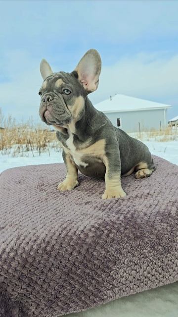 1000009175.mp4 смотреть онлайн