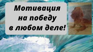 Мотивация на каждый день