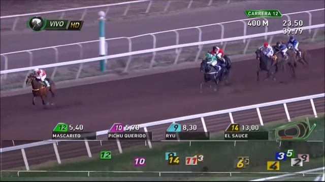 Carrera N° 12, Fecha reunión:28-04-2017 Club Hípico de Santiago смотреть онлайн