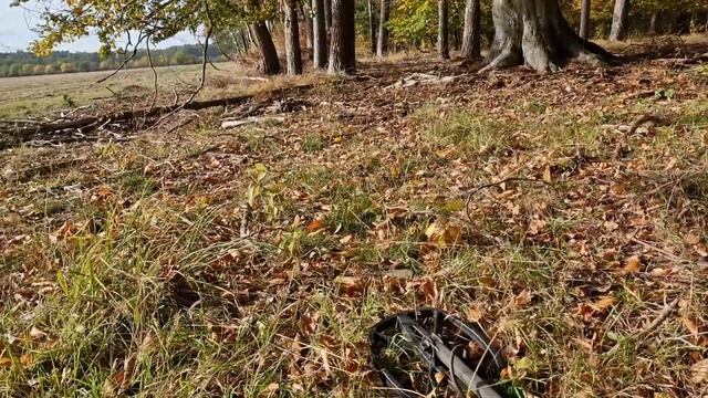 Sondeln WW2 - OrdenFundRausch - Nahkampfspange - teil 1/2 смотреть онлайн