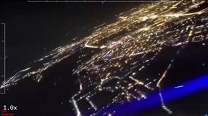 Герань вид от первого лица.