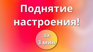 Рептилии для поднятия настроения