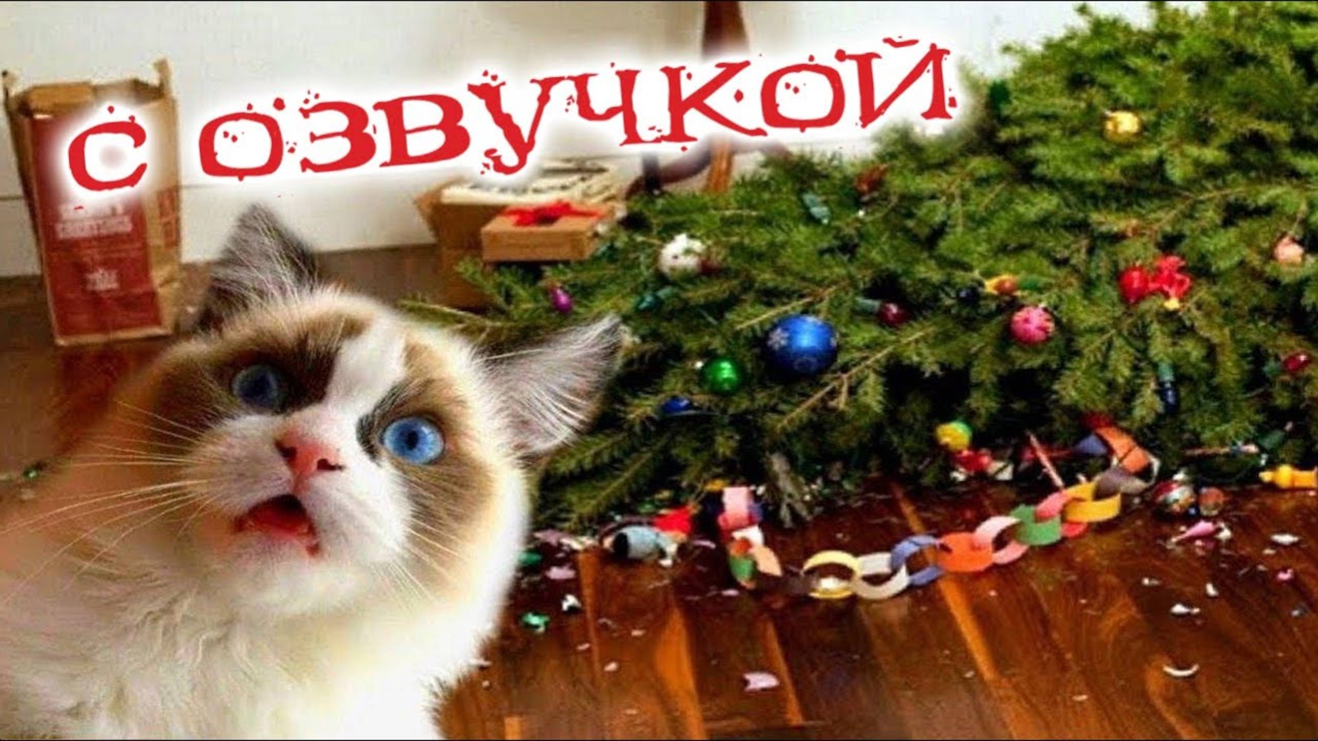 ПРИКОЛЫ С КОТАМИ С ОЗВУЧКОЙ! Самая смешная ОЗВУЧКА животных 2025! ТЕСТ НА ПСИХИКУ!