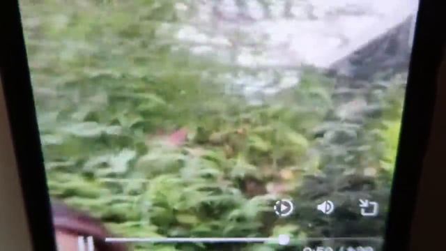 U S Military Spraying TOXIC pesticides on RESEDINTIAL AREAS! смотреть онлайн