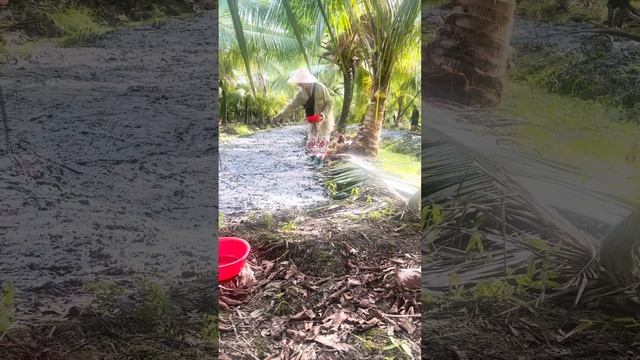 CHIA SẼ 1 ÍT KINH NGHIỆM KHI “XẠ HẠT NGÒ GAI”🤗 смотреть онлайн