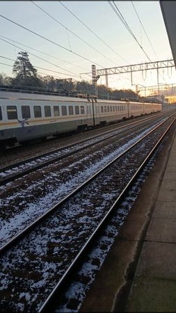 Электропоезда ЭД4М-0503, ЭД4М-0502, ЭП2Д у о.п. Ольгино.