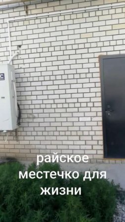 Приятное соседство, конечно. Вечный гул вытяжки и шум кондиционеров. Как жить в таком шуме?