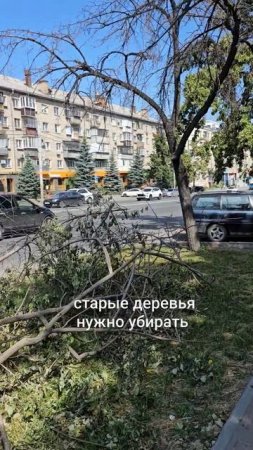 Кстати, вы же помните, что нельзя по собственному усмотрению сажать или удалять насаждения