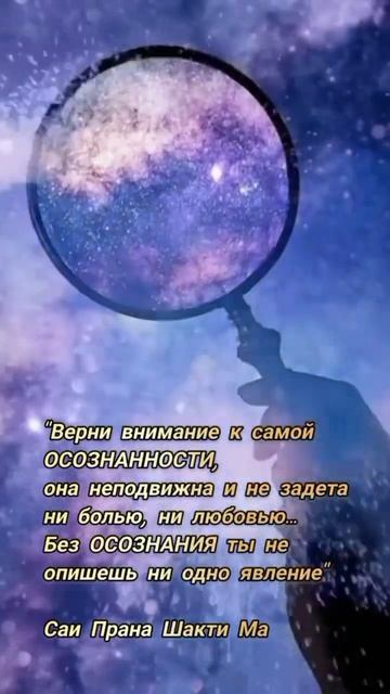 Верни внимание к самой Осознанности  #shorts #семинар #просветление #пробуждениесознания