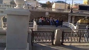 Расцвела смородина в городском саду...