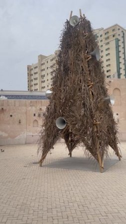Инсталляция на Sharjah 16 Biennial #biennial #fineart #museum #installation #uaeart #culture