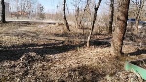 21-03-2025 добро распаковка чек и лалала