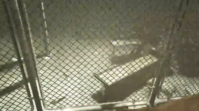 OUTLAST Whistleblower ПРОХОЖДЕНИЕ 4 ПУГАЕМСЯ