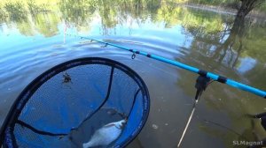 ОТ ЭТОЙ РЫБАЛКИ ТРЯСУТСЯ РУКИ И НОГИ! Удачная рыбалка.