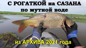 С РОГАТКОЙ на САЗАНА по мутной воде. САЗАН рвет плетенку