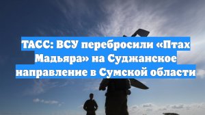 ТАСС: ВСУ перебросили «Птах Мадьяра» на Суджанское направление в Сумской области
