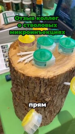 Эффективны ли инъекции для лечения деревьев? Мнение специалистов