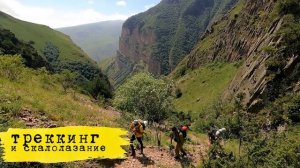 ролик общий