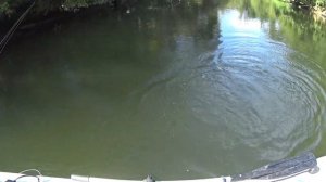 Это Красноперка, нет это Язь. Рыбалка в красивых местах.