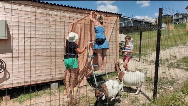 ШОК ! ОТ ЭТОГО КОЗА МОЖЕТ УМЕРЕТЬ. ДЕЛАЕМ НАВЕС.