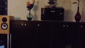 Acoustic Energy sound test