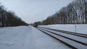 Дизельный Электропоезд ДР1А