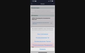 BoardMaps. iPhone интерфейс. Член коллегиального органа.