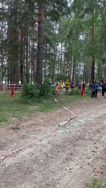 Велосипедная романтика #sport #bike #bicycle