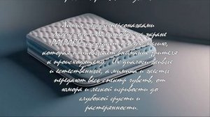 "Соседи по кровати": взгляд на отношения через призму комедии  .