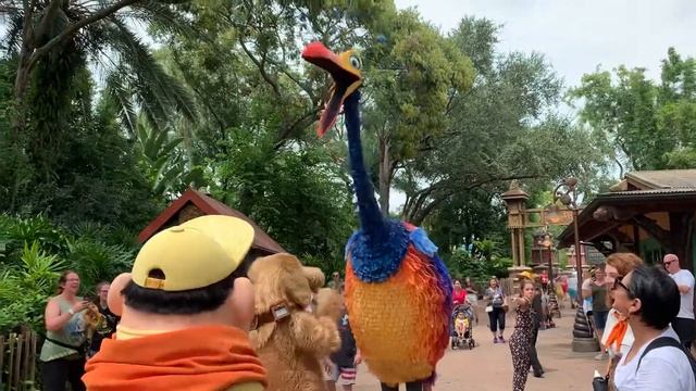 Kevin Meets Russell and Dug at Walt Disney World’s Animal Kingdom смотреть онлайн