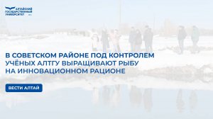 В Советском районе под контролем учёных АлтГУ выращивают рыбу на инновационном рационе