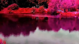 Эпос Волшебный ЛЕС с эпилогом+