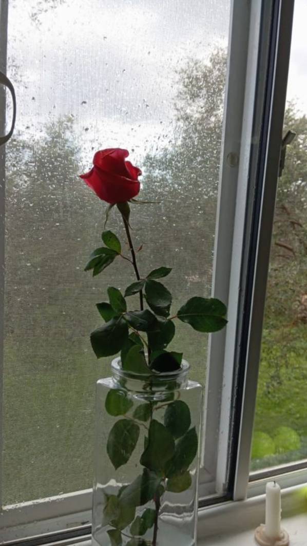 Светлане, моей Музе смотреть онлайн