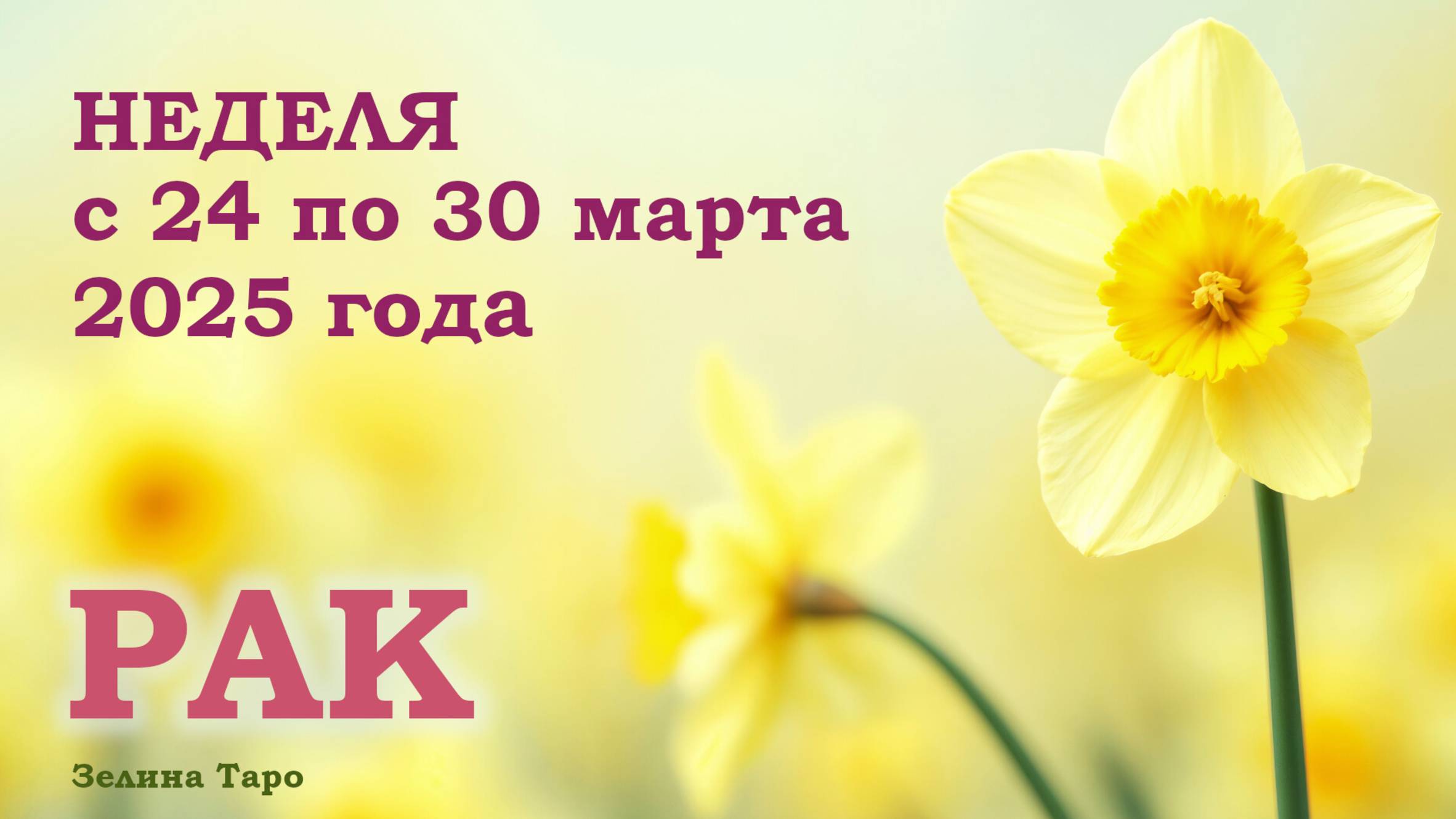 РАК | ТАРО прогноз на неделю с 24 по 30 марта 2025 года