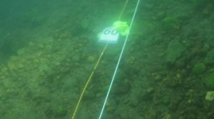 Мировой рекорд Екатерины Некрасовой: не повторять! :)