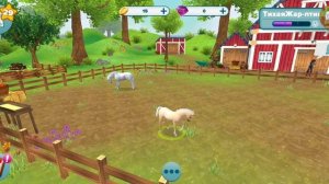 Star steble horse! жеребёнок вырос!!💗💗💗🌸