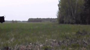 Отстрел пули импульс - 4. На 75 метров. Тоз 66. Повторный тест.