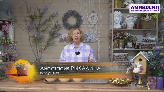 Друзья, осталось всего несколько недель, и мы будем регулярно выезжать на свои загородные участки