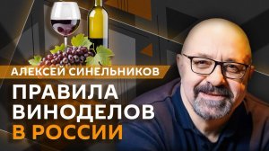 Алексей Синельников. Как развивается виноделие в России?