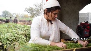 Village Life Pakistani Girl | Village Vlog Hardworking In Village Girls 2022 | Love HD PK