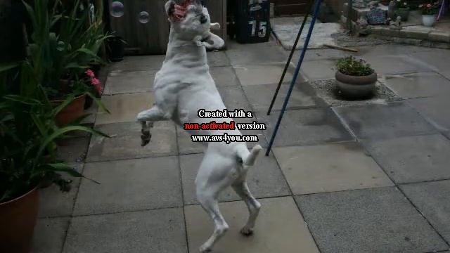 world without fences clyde. смотреть онлайн