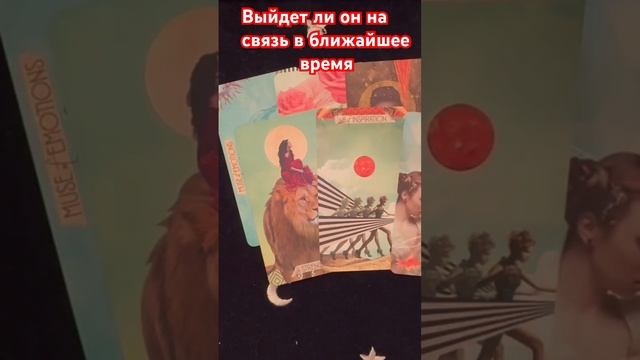 Выйдет ли он на связь в ближайшее время #онлайнтарогадание #онлайгадание #картытаронаотношения