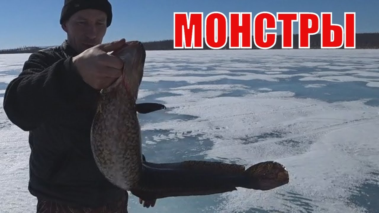 Рыбалка на севере. смотреть онлайн