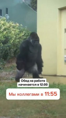 CNC обед на работе.