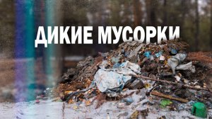 Минприроды выявляет несанкционированные свалки