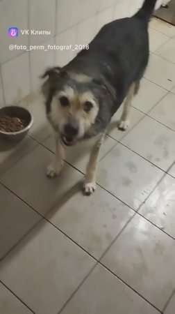 Мотенька Мотюша барышня красавица