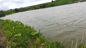 Прикормочный карповый кораблик Амур. Генеральное испытание на шум мотора на мотораме.