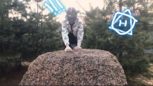 Cute cat-fox (*´꒳`*)