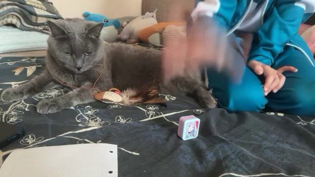 МОЛ ЭТО ЛАВА но ТОЛЬКО НА КРОВАТИ смотреть онлайн