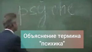 Определение понятия "психика"